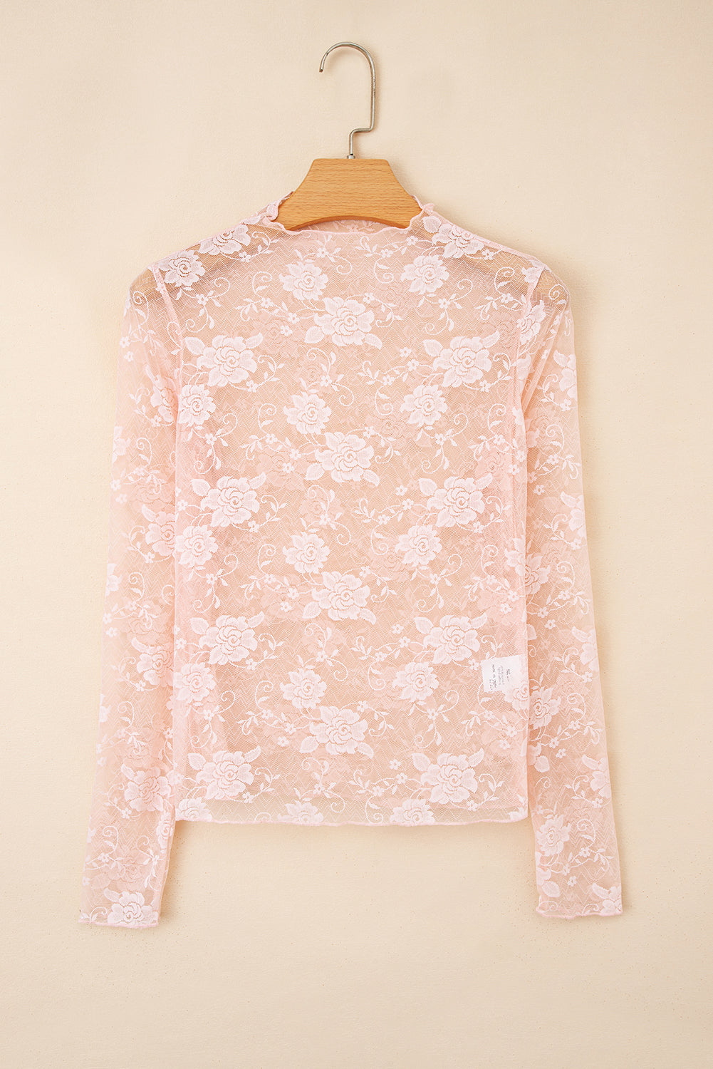 Sheer Floral Lace Mesh Long Sleeve Top