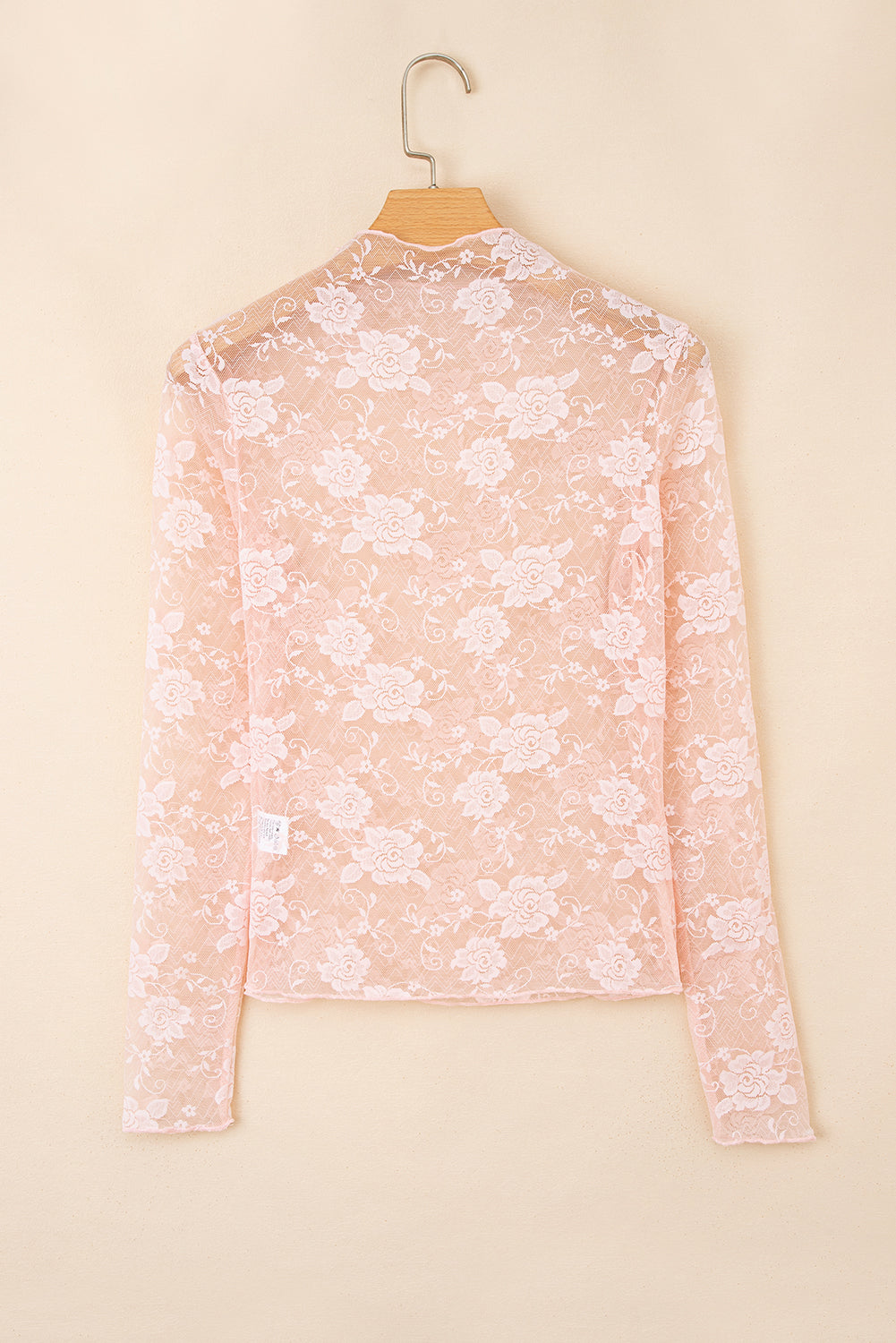 Sheer Floral Lace Mesh Long Sleeve Top